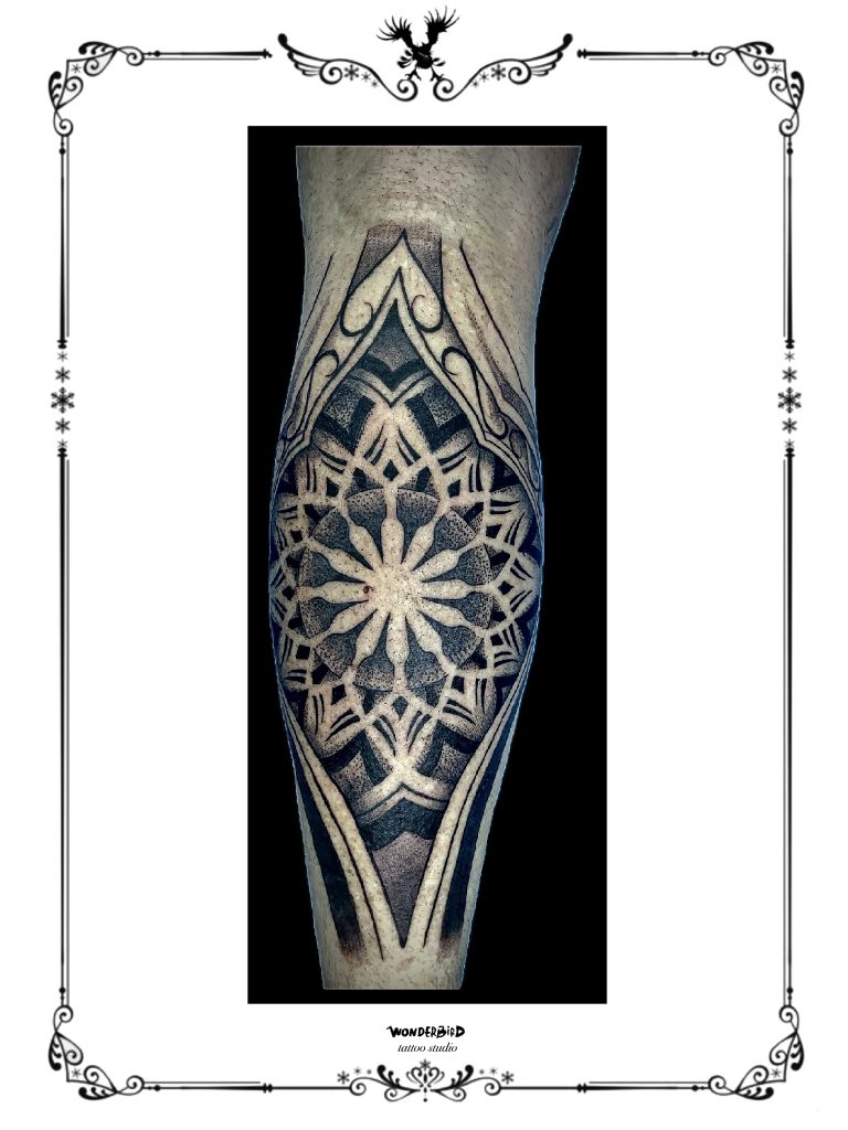 微信图片_20250223183021